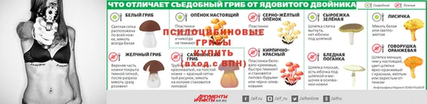 круглые Абаза