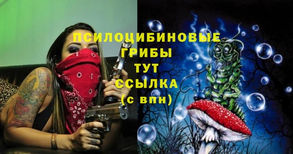 круглые Абаза